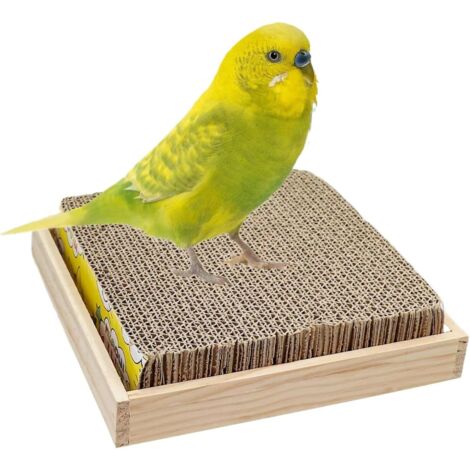 Perchoir pour perroquet - Entretien des griffes d'oiseaux en carton – Jeu