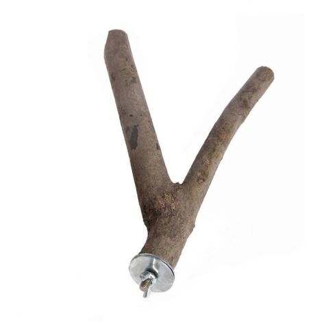 Perchoir pour perroquet, support en bois naturel, barre de grincement, facile à installer