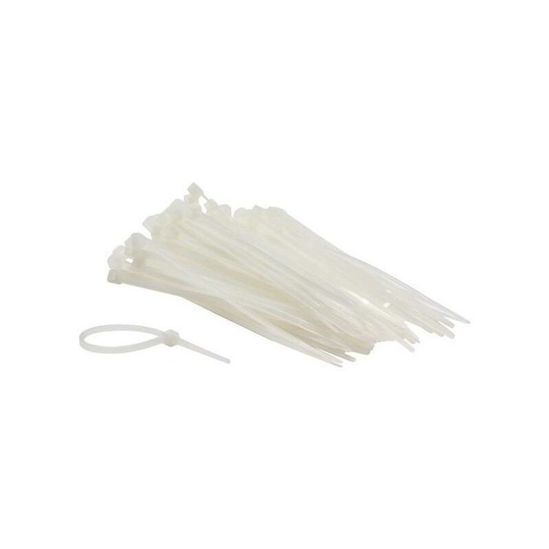 SET FASCETTE IN NYLON - 2,5 x 100 mm - BIANCO (100 pz)