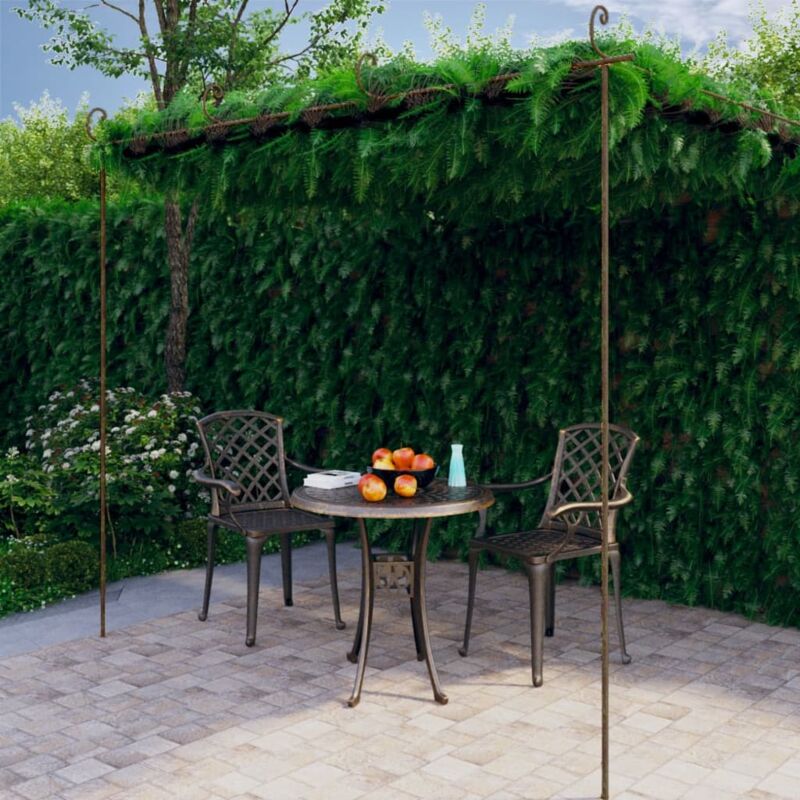 Pergola de jardin Marron antique 4x3x2,5 m Fer CFW86212