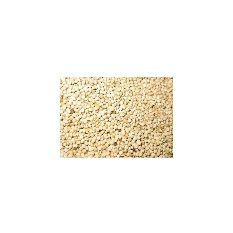 

semilla de Perilla Blanca 700 gr. para aves - Jarad