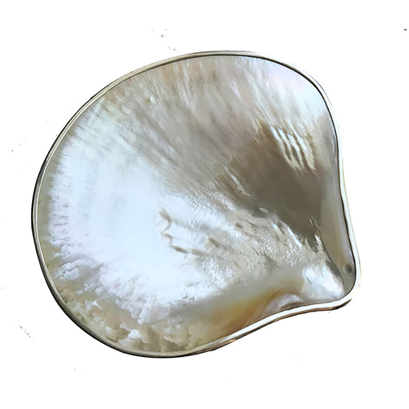 Perle - Coupelle Coquillage Noire en Nacre avec Liseré Argenté - 14x12cm - Pièce Unique en Nacre Naturelle - Décoration Bord de Mer. Style Ethnique