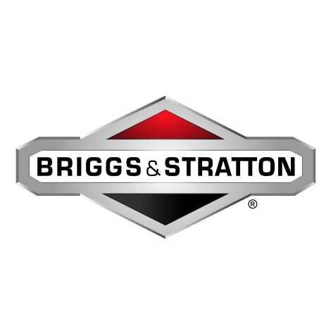 Perno trattorino tagliaerba ORIGINALE BRIGGS & STRATTON 790560