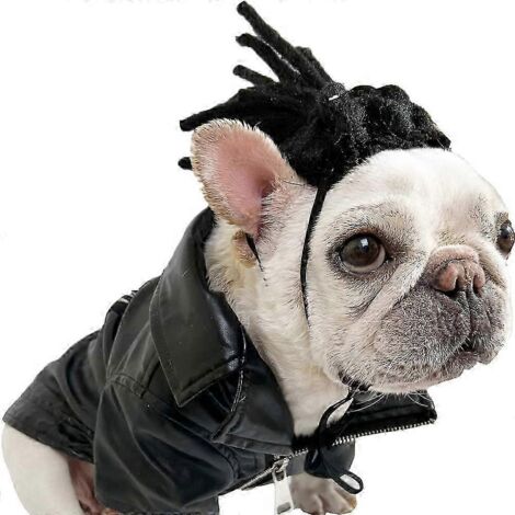 Perruque amusante pour chien et chat, idéale pour Halloween, Noël, les fêtes et festivals. Convient aux chiens de petite, moyenne et grande taille. Style 1833