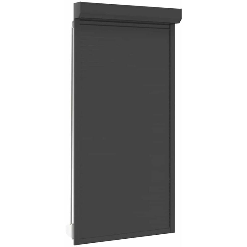 

vidaXL Persiana Enrollable Aluminio Gris Antracita 110x220 cm - Antracita