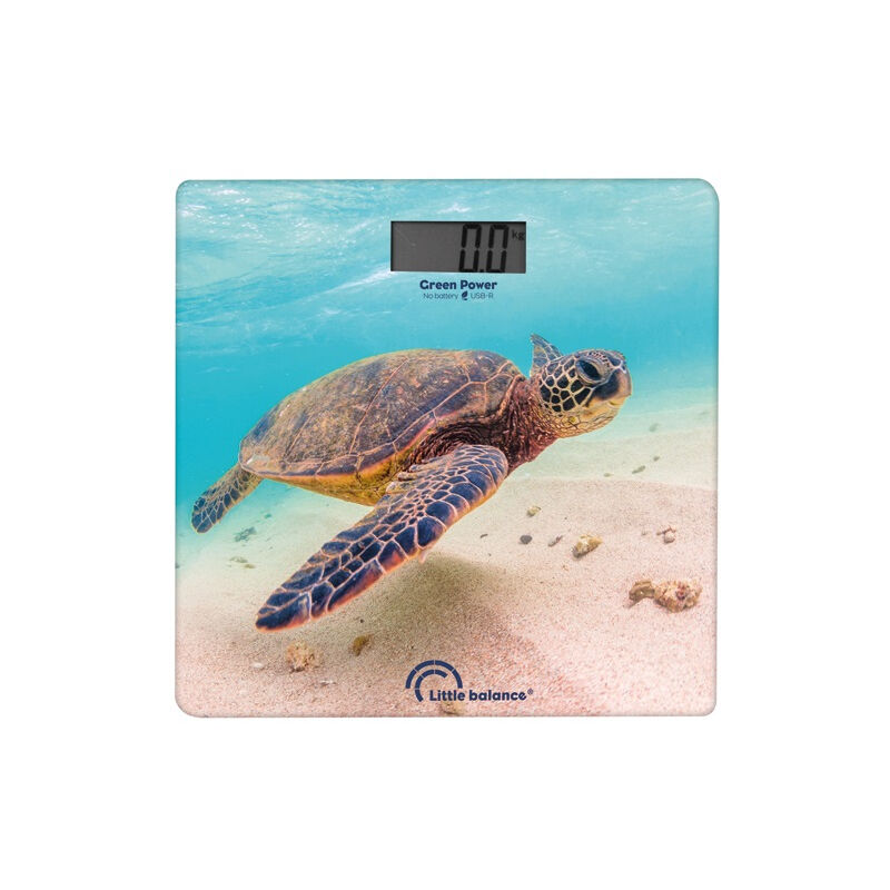 Little Balance - Pèse-personne électronique Tortue - usb-r - 8653