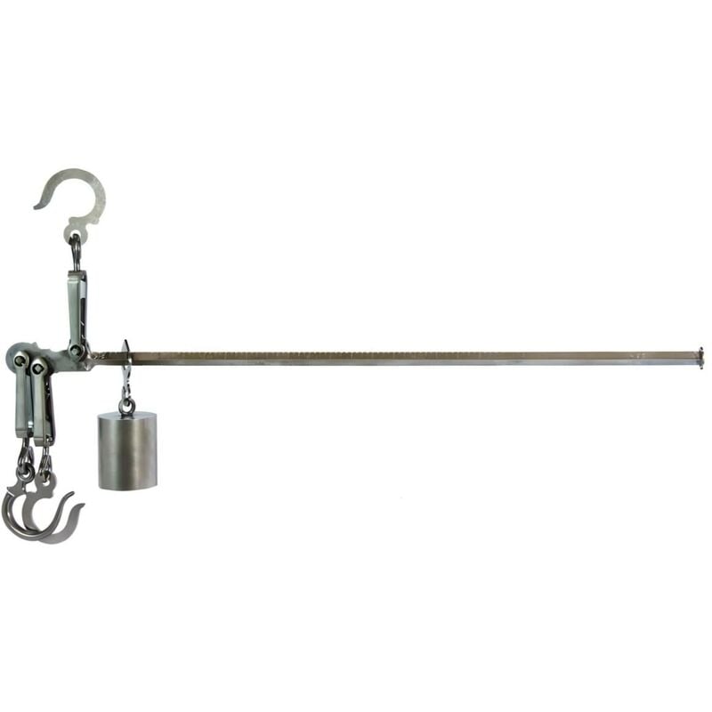 Pèse-poids, Balance pylone polie 200 Kg coloris Gris