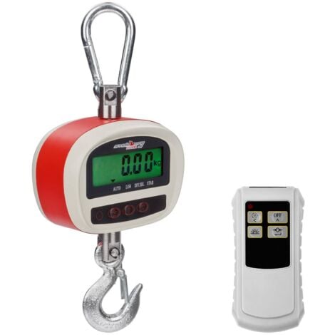 Dynamomètre Industriel Jusqu/'À 300 Kg Kg Lb N Boîtier Alu Crochet Inox
