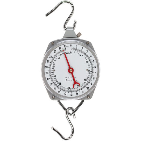 Peson dynamométrique - 100 kg