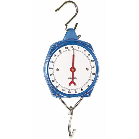 Peson dynamométrique KAMER 100 kg