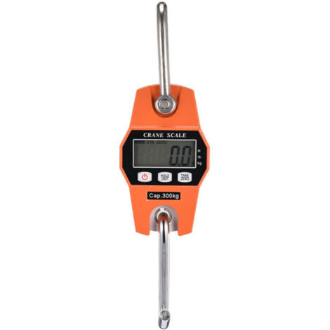 Peson électronique 300kg – Balance crochet suspendu avec écran LCD rétroéclairé – Précision OIML III – Utilisation industrielle - 600lbs