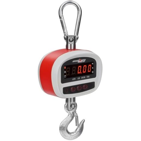 Peson Électronique Balance Crochet Pèse Bagage Digital Portable LED 300kg 50g - Noir, Argent