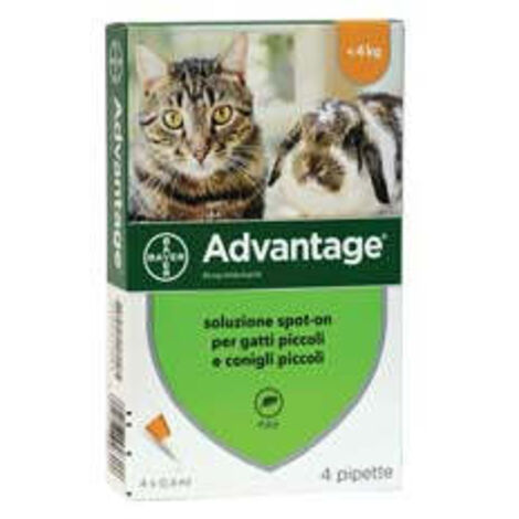 Pesticide "Avantage" pour chats et lapins jusqu'à 4 kg - en pack. de 4 pipettes SPOT-ON