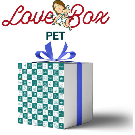 Pet Care Love Box By Aviliahome