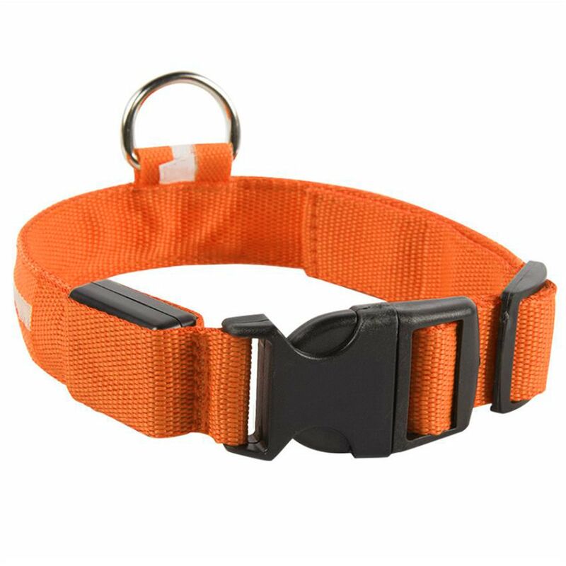 

Pet Light Up Collar LED Correa para perro, Malla de seda Nylon Collar pequeno emisor de luz, Collares para perros que brillan en la oscuridad