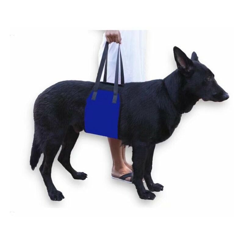 Pet Trasporto Cintura Cintura Carkeover Cintura