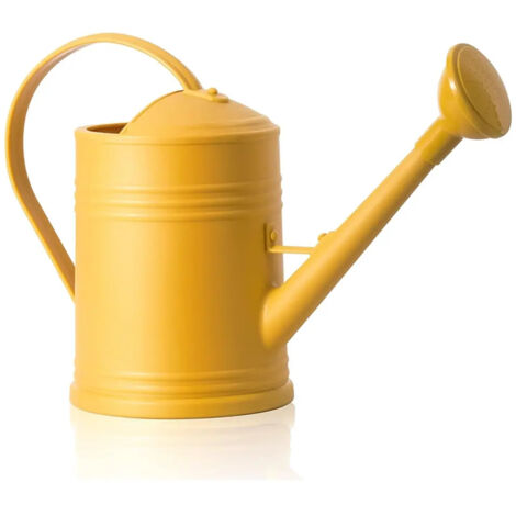 Petit arrosoir pour plantes dintrieur