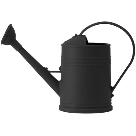 Petit arrosoir pour plantes dintrieur avec long bec
