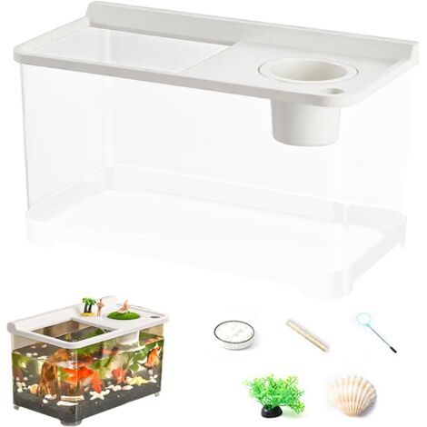 Petit bassin de combat avec 3 lumières colorées - Aquarium