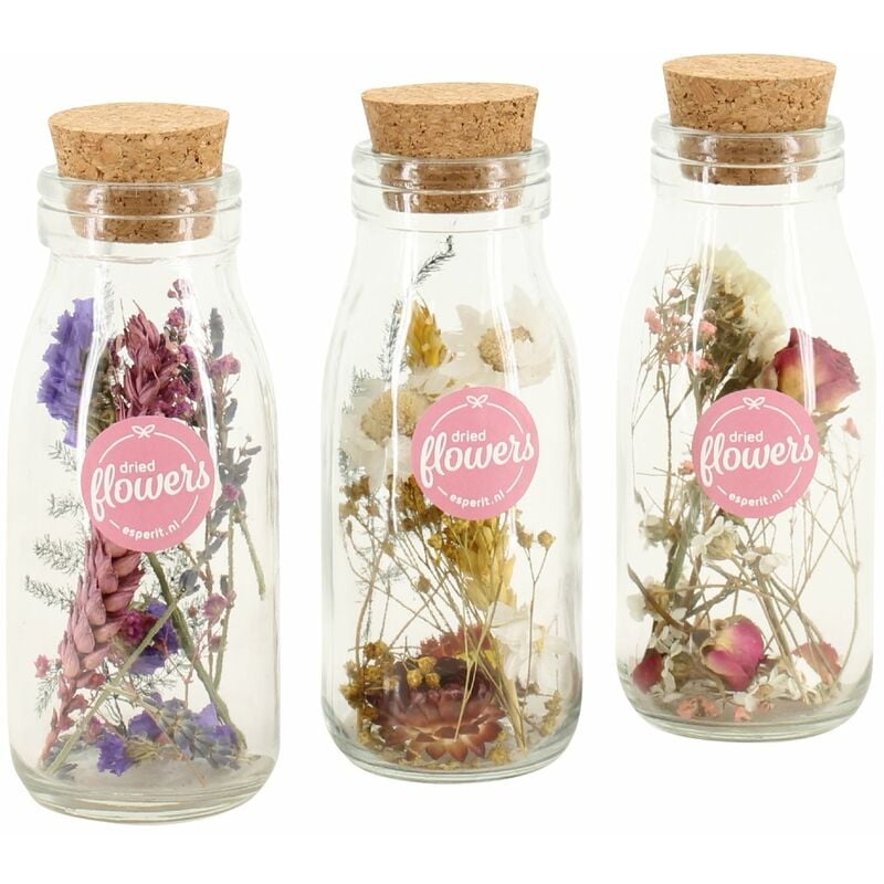 Plant In A Box - Petit bouquet de fleurs séchées dans un verre - Set de 3 - Violet