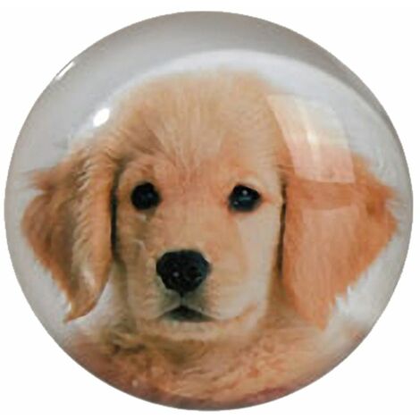 Petit magnet en verre rond Chien 3.5 cm