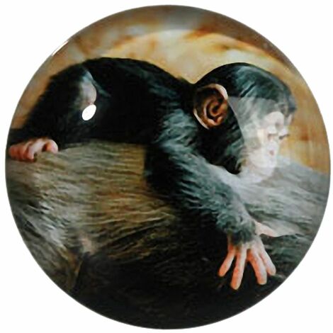 Petit magnet en verre rond Singe