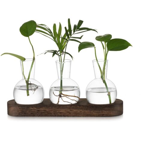 Petit Vase Fleur Vase Transparent: Terrarium Plante Hydroponie Vase en Verre avec Marron Plateau en Bois - 3pces Soliflore en Verre Terrarium Vegetal pour Centre de Table Decoration Interieur