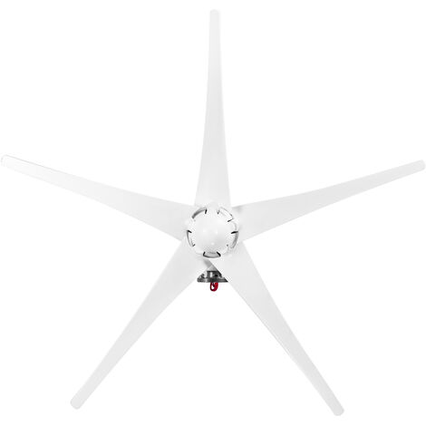 Petite eolienne avec controleur, energie propre S-type-12V 5 pales, maximum 1200W (blanc)