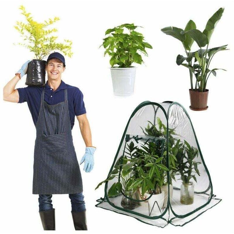 Petite serre à fleurs portable (70 x 70 x 80 cm), tente de gel étanche pour jardin et arrière-cour, protection hivernale de la tente
