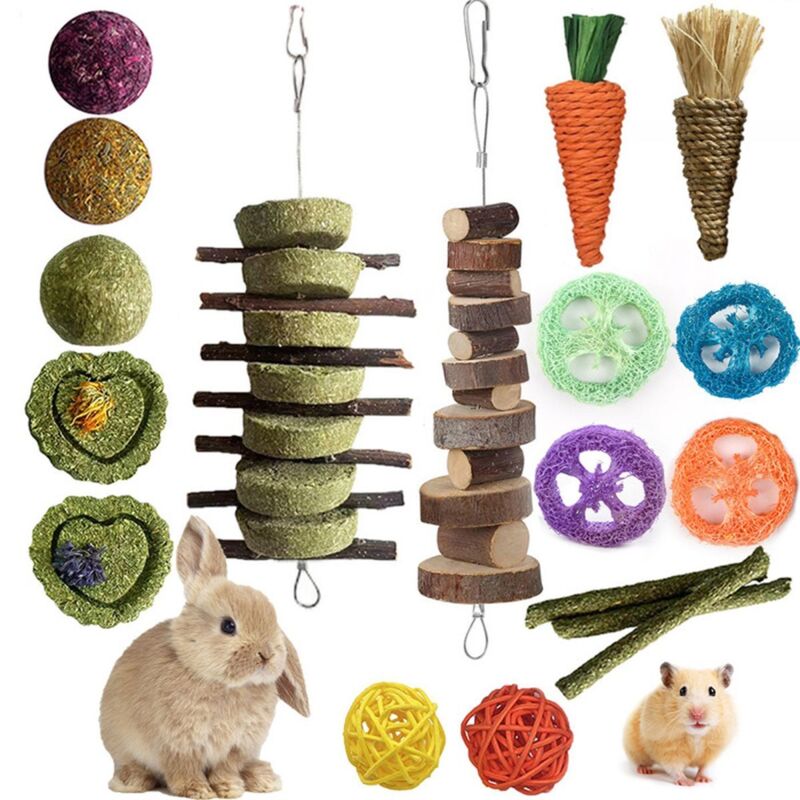 Petits jouets d'animaux, 16 jouets de mastication, lapin nain, hamster en bois naturel mastication jouets, soins dentaires