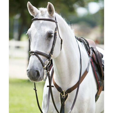 Pettorale inglese in cuoio a Y con elastico e martingala: Cob, Marrone (04)