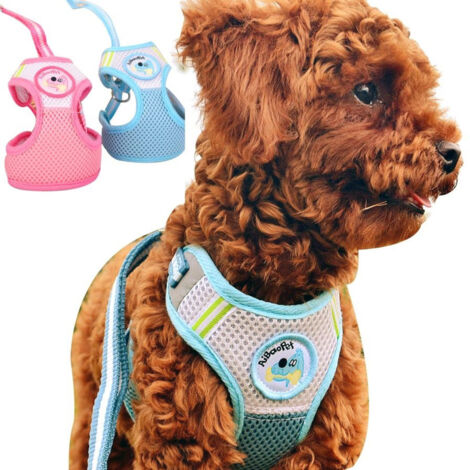 Pettorina Con Guinzaglio Regolabile Per Cane Taglia Piccola Con Disegni Colori