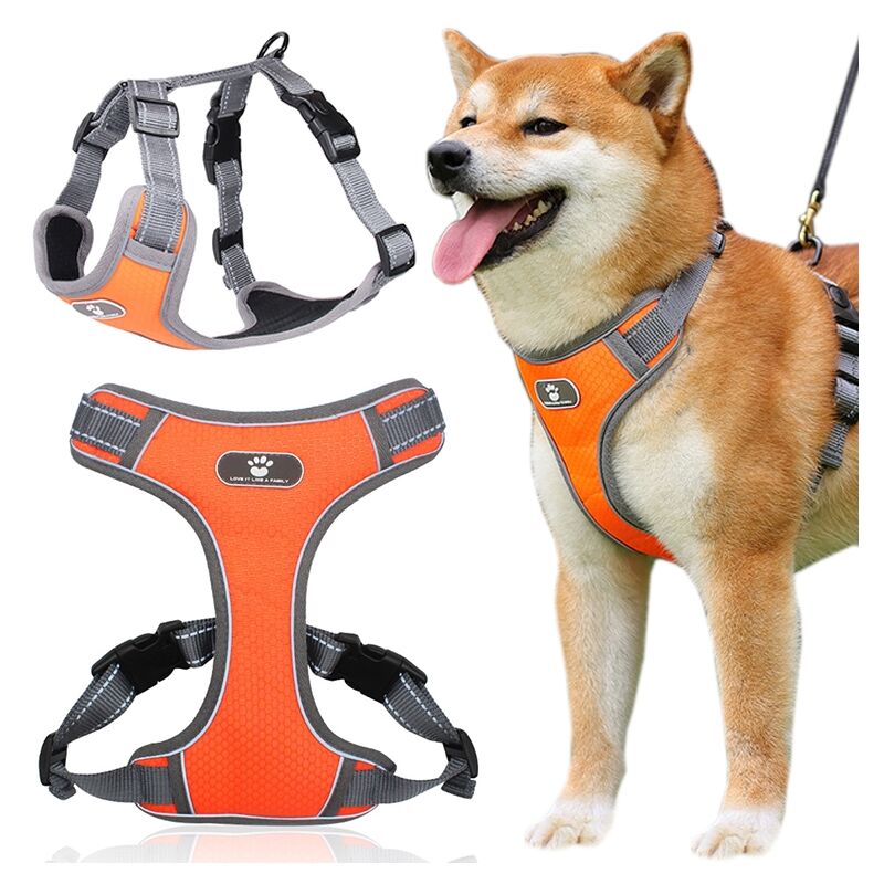 Pettorina da addestramento per cani ASTRO