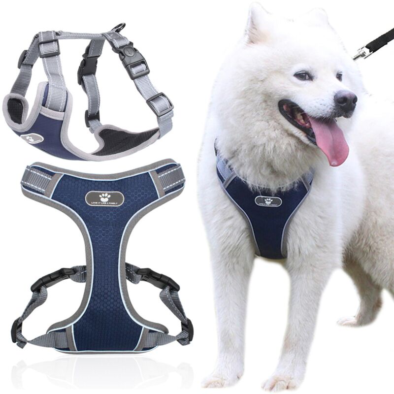 Pettorina da addestramento per cani ASTRO, blu