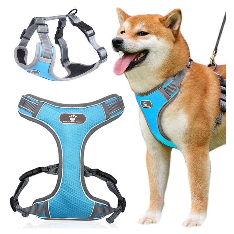 Pettorina da addestramento per cani ASTRO, blu
