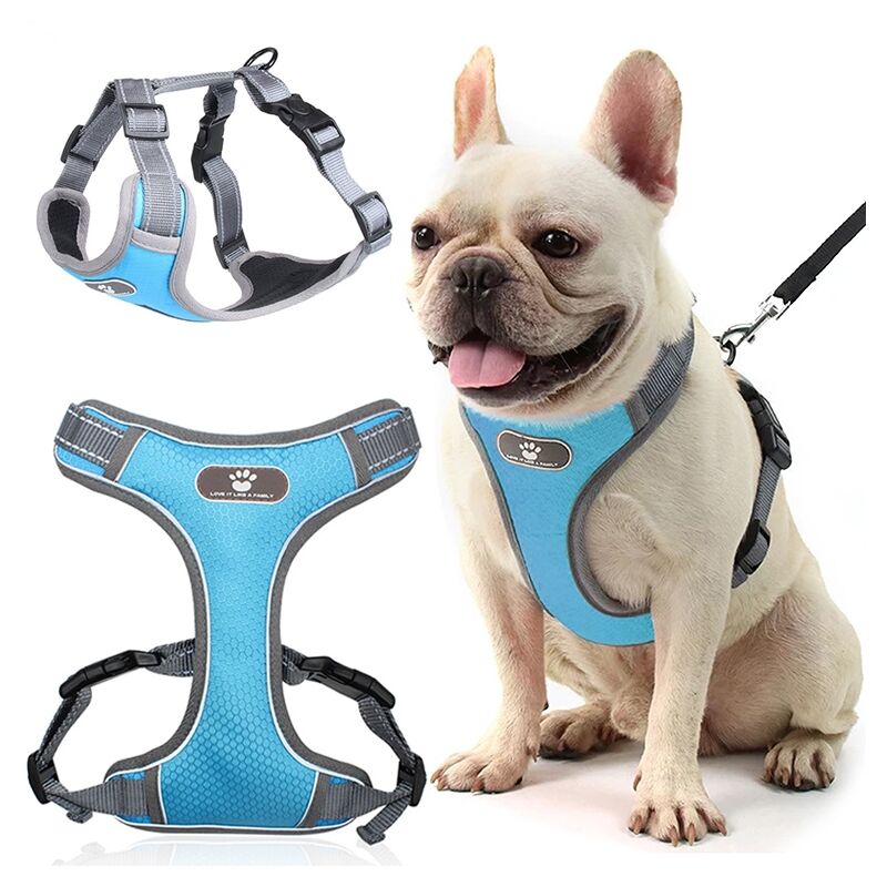 Pettorina da addestramento per cani ASTRO, blu