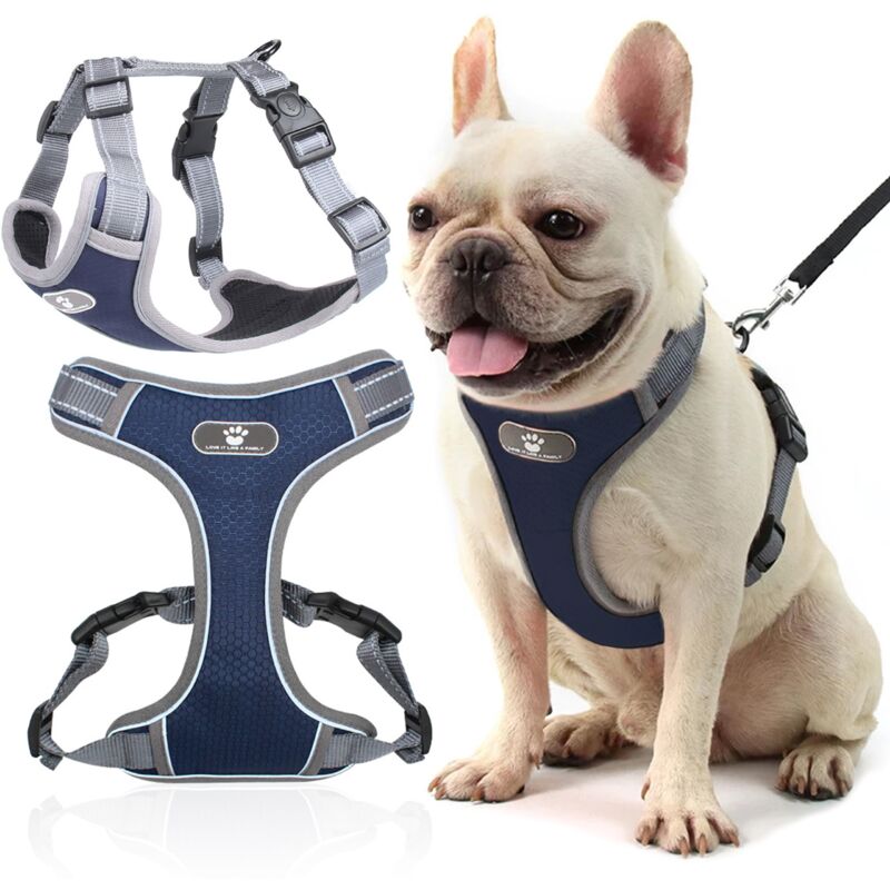 Pettorina da addestramento per cani da passeggio