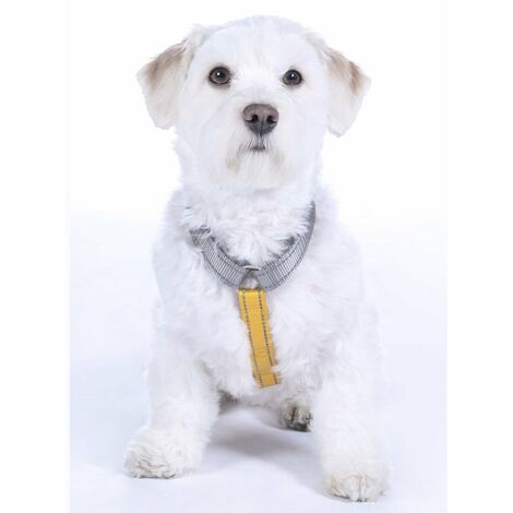Pettorina in nylon modello Anam Cara Basic per cani: S, nero/rosa oro 9178