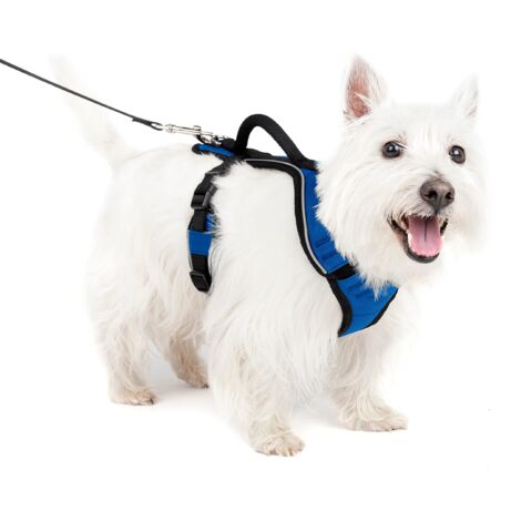 Pettorina modello Easy Sport per cani: S blu