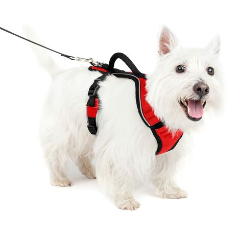 Pettorina modello Easy Sport per cani: S rosso
