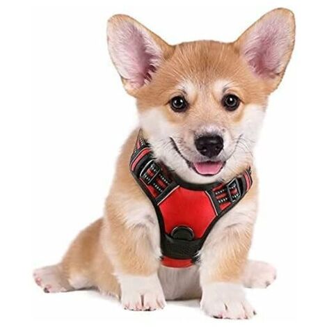 Pettorina per cani S, rossa, antistrappo, riflettente, gilet regolabile per cani, attacco frontale, gancio per guinzaglio per escursionismo, viaggio in auto, bulldog francese, pastore australiano - Su