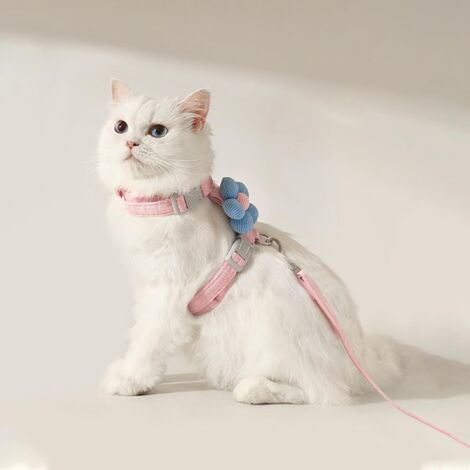 Pettorina per gatti con guinzaglio, infrangibile, regolabile, adatta a gatti di piccola taglia (M)