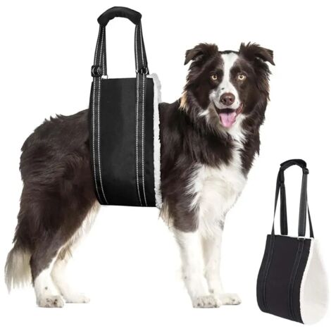 Pettorina regolabile per cani, appositamente progettata per cani disabili e anziani, che offre un supporto sicuro ai cani di piccola taglia. Dimensioni: 53 x 16 cm