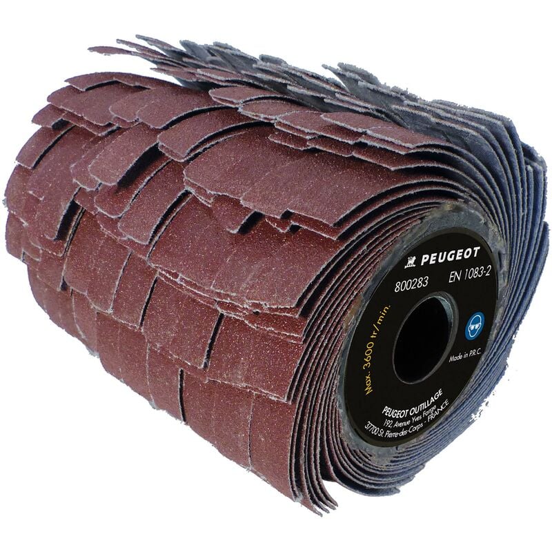 Peugeot Outillage - Brosse lanières abrasives grain 80, Ø80x100mm pour rénovateur Brushless EnergyBrush-18VBL