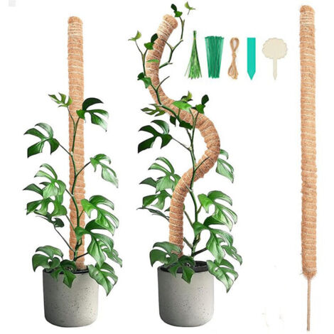 pezzi 90CM bastone di muschio pieghevole con 2 pezzi 2M corda di canapa lunga, bastone di palma da cocco per piante, aiuti per l'arrampicata per piante rampicanti, supporto per piante da giardino