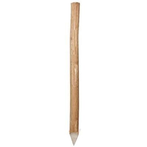 Pfähle Haselnuss 120 cm Ø 6-12 cm Zaunpfosten