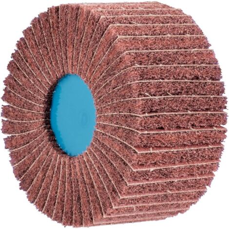 PFERD 44642102 POLINOX PNZ 10050-M14 ÉVENTAIL 180