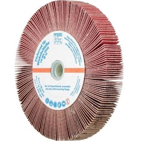 PFERD 44782612 ROUE DE SECOURS À CHEVAL Ø 125 MM 2 PC(S)