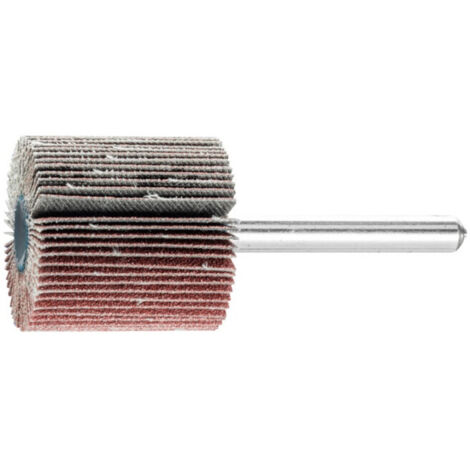 PFERD Fächerschleifer Ø 30 x H 30 mm Körnung 120 - 44411126