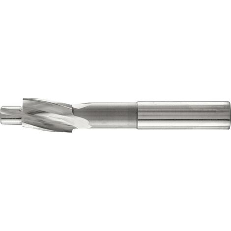 PFERD TOOLS FLS HSS DIN 373 15,0 F 25203104 Fraise plate 15 mm HSS 1 pc(s)